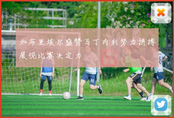 加布里埃尔盛赞马丁内利努力拼搏展现比赛决定力